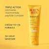 Burt's Bees Moisturizing Melt Hidratante Facial Natural Todo Tipo De