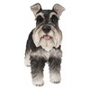 Hi-Line Gift Standing Miniature Schnauzer