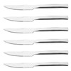 Parlynies Stainless Steel Steak Knives Set of 12, Steak Knives