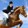 CGJIANG Horse Crop,PU Leather Black Horse Riding Crop,Riding Paddle for