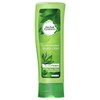 Herbal Essences Buy Herbal Essences Drama Clean Conditioner 300ml Online