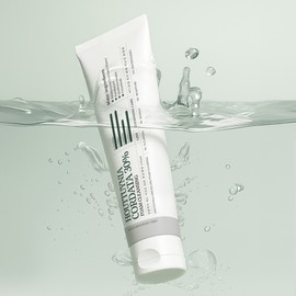 Household White Paper Zero Houttuynia cordata 30% foam cleansing 150ml face wash hypoallergenic cleansing oily and sensitive / 살림백서 제로 어성초 30% 폼클렌징 150ml 세안제 저자극 클렌싱 지성 민감성