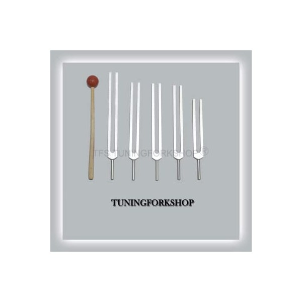 TFS Tuningforkshop Horquilla de afinación afilada con mazo y bolsa.