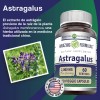Amazing Formulas Astragalus 2000 Mg Astrágalo 120 Cápsulas Sabor Sin
