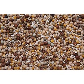 King 45 Pigeon Mix (17%) 20 lbs