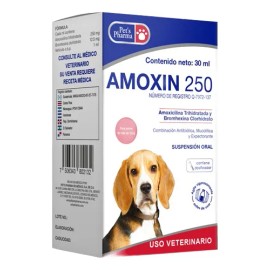 Amoxin 250 Suspensión Oral 30 Ml Pets Pharma