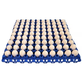 Rite Farm Products 24 RITE FARM PRODUCTS 90 EGG PLASTIC TRAYS QUAIL PIGEON DOVE BIRD FLAT CARTON