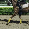 Y.J TAILS Horse Polo Wraps Soft Fleece Polo Wraps Equestrian