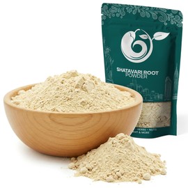 NY Spice Shop Shatavari Root Powder (Asparagus racemosus) - 4 Ounce Natural Indian Shatavari Herb Root Extract - Perfect for Herbal Tea, Soups, Stews and Other Cooking Purposes