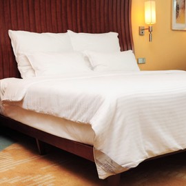 CUDDLE DREAMS Silk Comforter for Spring/Summer/Fall, 100% Long-Strand Silk Filling, Natural & Breathable (Kids, 60 in x 50 in)