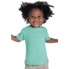 RABBIT SKINS™ Toddler 100% Cotton Jersey Short Sleeve Tee (Black,
