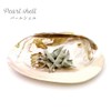 Pearl Shell Purifying Dish, Sold as 1 Pan, Trinket Box,