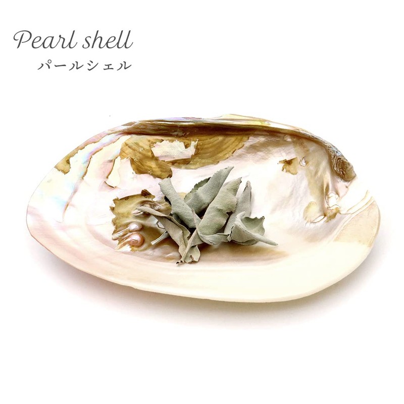 Pearl Shell Purifying Dish, Sold as 1 Pan, Trinket Box,