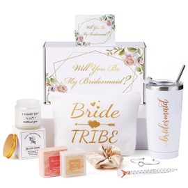 DHQH Bridesmaid Proposal Gifts Bridesmaid Gifts Box from Brides Bachelorette Party Gifts for Bridesmaids Wedding Gifts for Bridesmaid,20oz Bridesmaid Tumbler With Lid and Straws