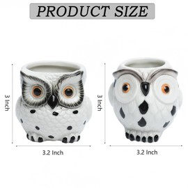 Owl Ceramic Planter Mini Plant Pots 2Pack With Drainage Flowing Glaze Serial Cute Flower Planters For Indoor Herb Garden Kit Cactus Plant Pots Air Plant Kitchen Window Gardening Starter Set Owl Gifts