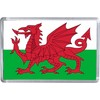 The Welsh Red Dragon Flag Magnet 5 X 7.5 CM
