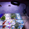 D C 5V 7W 18 LED Aquarium Light Fish Jar