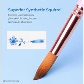 Nicpro 12pcs Watercolor Paint Brushes, Aesthetic Pastel Round Pointed Tip Paint Brush Set, Professional Soft Synthetic Squirrel Paint Brushes, Artist Painting Brushes for Watercolor, Inks, Gouache