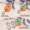 Rhorawill Luggage Scales Crane Scale 150kg Double Accuracy Electronic Digital