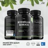 Boswellia Serrata Extract 3000mg - Raw Indian Frankincense - No