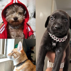 Chain Dog Collar, Diamond Metal Cuban Link Dog Collar,15mm Wide Bling Sparkly Puppy Necklace for Small Medium Large Pet Dogs Cats Silver White(10 inch)