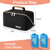 BABEYER Breastmilk Cooler Travel Bag with Ice Pack, Portable Insulated