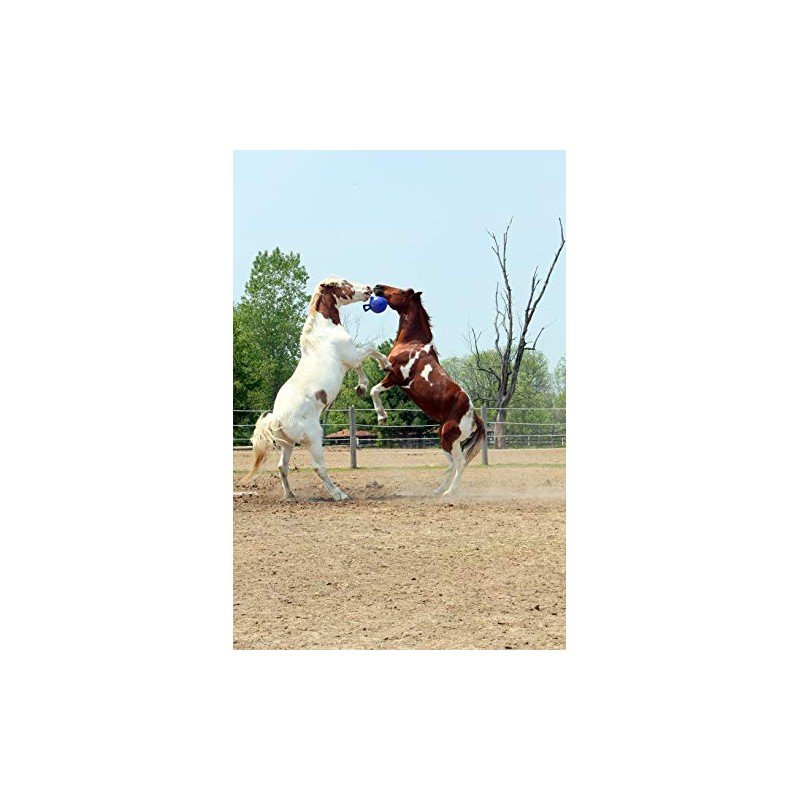 Horsemen's Pride Horsemen's Pride Jolly Ball - Blue, 10 inch