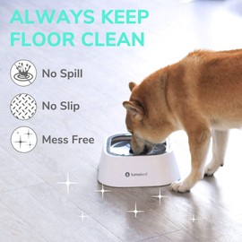 LumoLeaf Dog Water Bowl, Splash-Free Pet Slow Water Feeder Bowl, No Spill Dog Bowl, Vehicle Carried Water Bowl for Dogs Cats Pets, 35oz/1L.