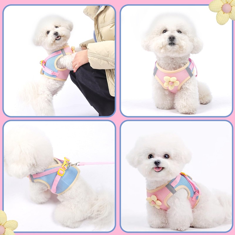 Dog Harness with Leash Set, Breathable Adjustable Dog & Cat