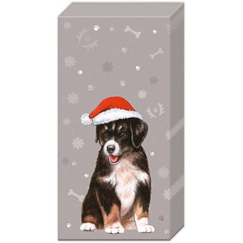 Boston International Bulk 4-Ply Pocket Tissues, Bundle of 6 Packs of 10 Tissues (I Wuff You)