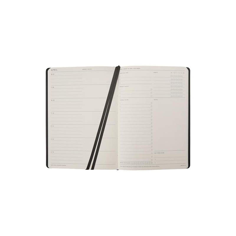 MiGoals - 2025 Bold Goal Digger Diary - Weekly Action