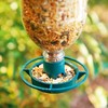 AROIJUN Parkland Pack of 4 Bottle Top Hanging Bird Feeder