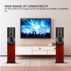 5.1 Channel Digital Sound Decoder HD Multimedia Interface ARC Bluetooth