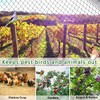 OGORI 25' x 100' Bird Netting Heavy Duty Nylon 3/4"