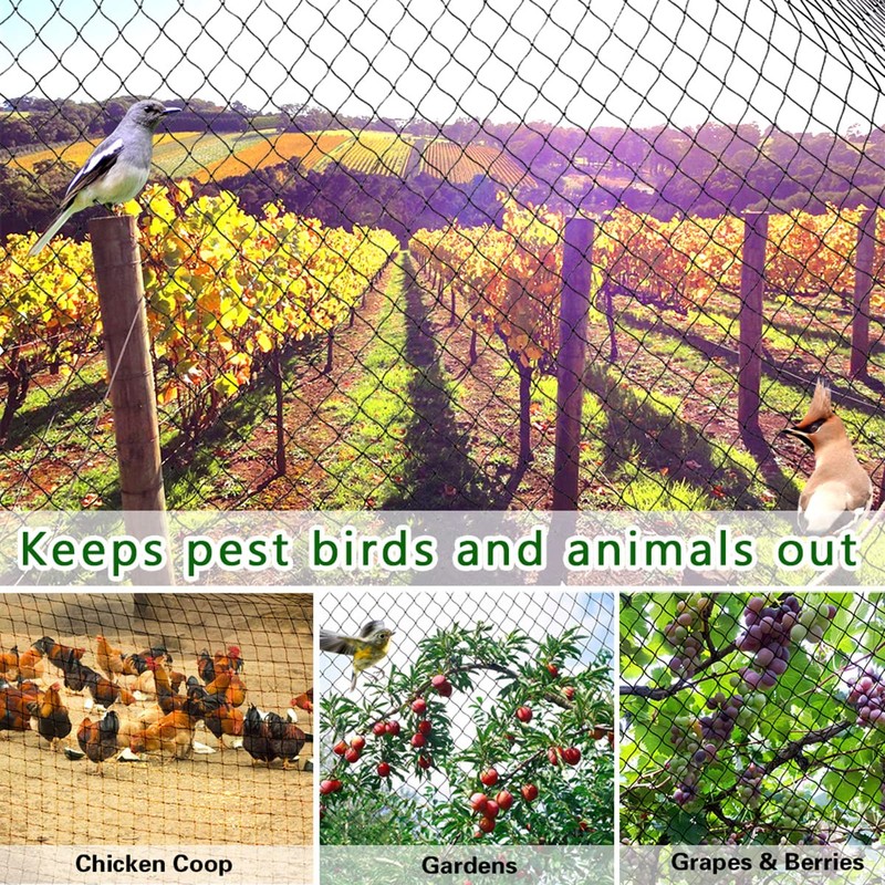 OGORI 25' x 100' Bird Netting Heavy Duty Nylon 3/4"