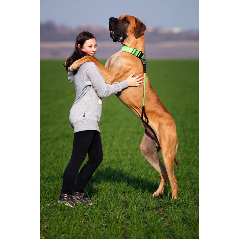 A K9 Bully Dog Tactical Combat Dog Collar with Control