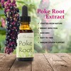 Best Botanicals Poke Root Extract 1 oz.