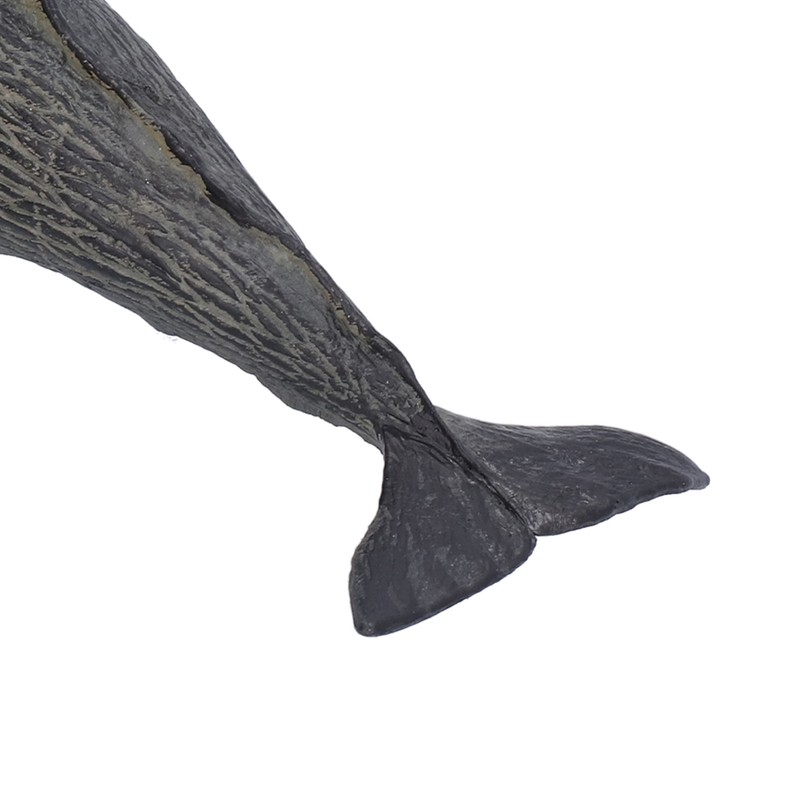 Realistic Sperm Whale Replica Simulated Marine Animal Model Educational Collector