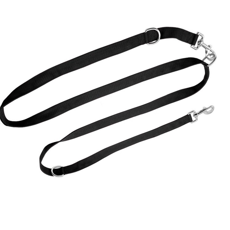 Dechat Dog Leash for Small, Medium and Large Dogs, Training