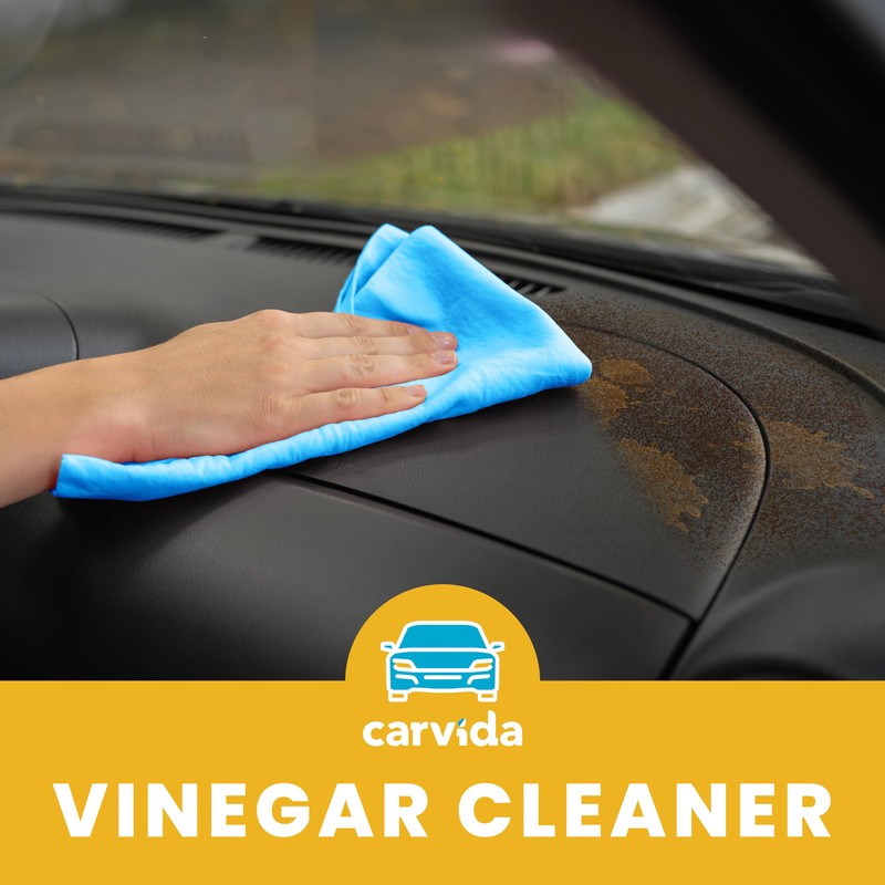 Carvida Vinegar Cleaner, Plant-Based, Multi-purpose Automotive Cleaning Spray, Natural Mint