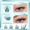 Cat Eye Lash Clusters Natural Eyelash Clusters Fairy Individual Lash