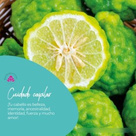 Sheló Nabel Mascarilla Capilar Argan Shelo Nabel® 250ml. 5 Piezas