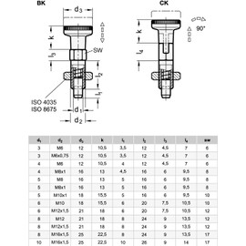 Ganter Standard Elements | Locking Bolt – GN 717 Bolt Diameter 8 mm Stainless Steel Pack of 2, Silver, GN 717-8-M12X1,5-CK-NI