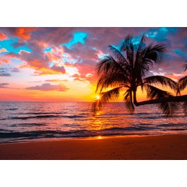 CORFOTO 8x6ft Fabric Beach Palm Tree Backdrop for Photography Sunset Seaside Palm Tree Background for Summer Vacation Wedding Party Decorations Kids Adults Photo Studio Props