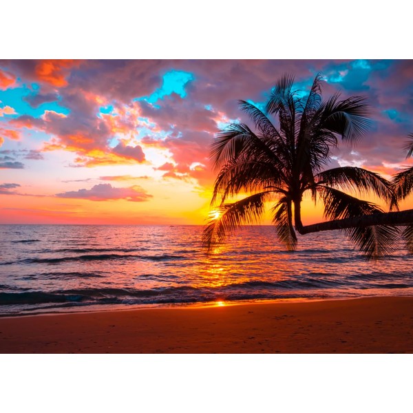 CORFOTO 8x6ft Fabric Beach Palm Tree Backdrop for Photography Sunset