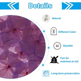 PATIKIL Flores Prensada Seca, 48 Piezas para Manualidades de Resina, Arte de Uñas, Tarjetas de Scrapbooking, Fabricación de Joyas, Decoración Floresal, Morado Claro