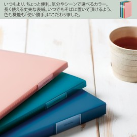 King Jim FV166-3T Clear File Favorites A4 Vertical 60P Transparent