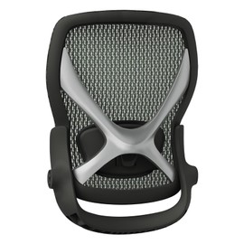 X100 Backrest, Replacement (Forest Ranger)