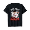 Boys Karate T-Shirt