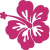hBARSCI Hawaiian Flower - 11 Inches for Walls, Windows, Doors,